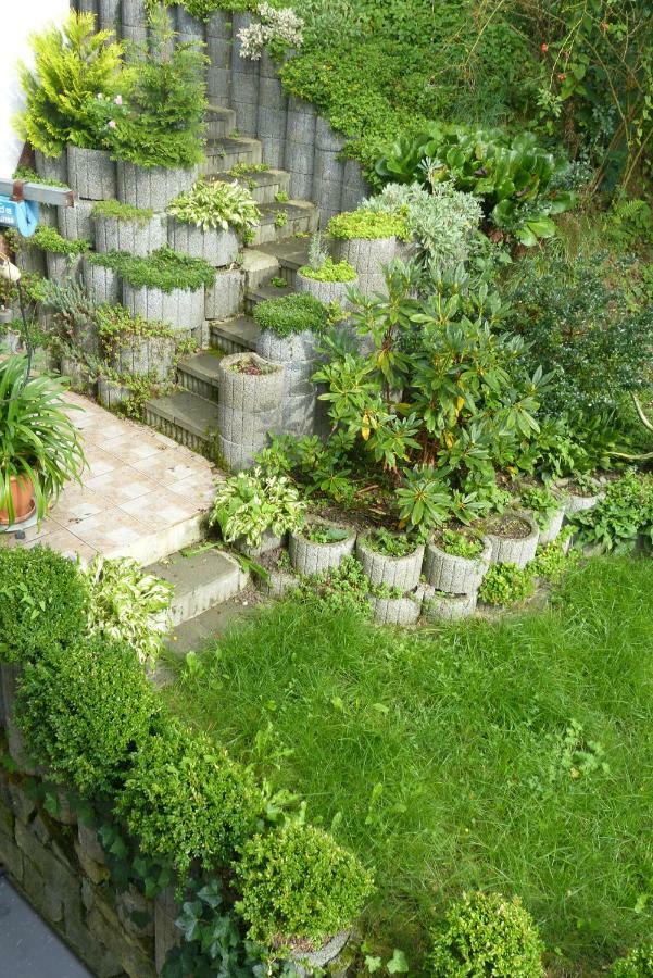 Pension Johannistal ゼーブニッツ エクステリア 写真